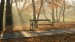 park1